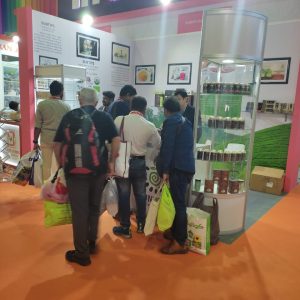 WhatsApp Image 2025-01-08 at 2.55.56 PM